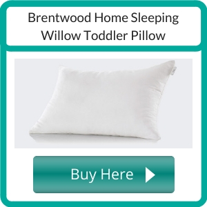 Where to Buy an Organic Toddler Pillow_ (1)