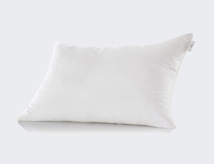 Sleeping Willow Toddler Pillow