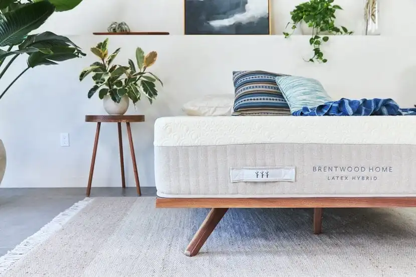 Hybrid Latex Mattress by Brentwood Home