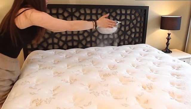 mold in mattress