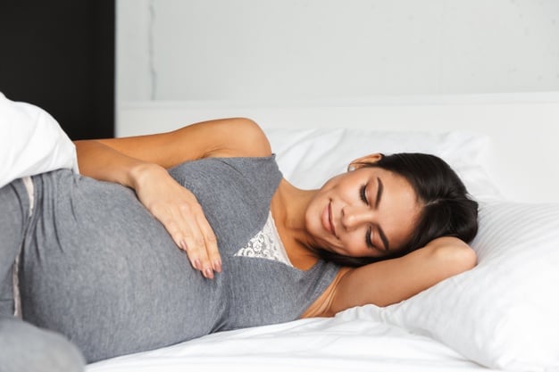 organic pregnancy pillow