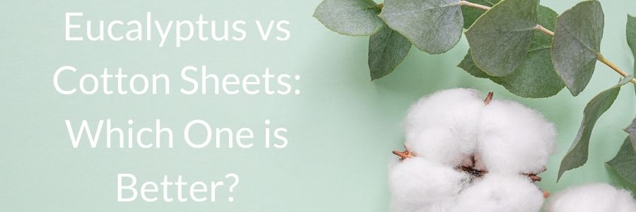 Eucalyptus vs Cotton Sheets (1)