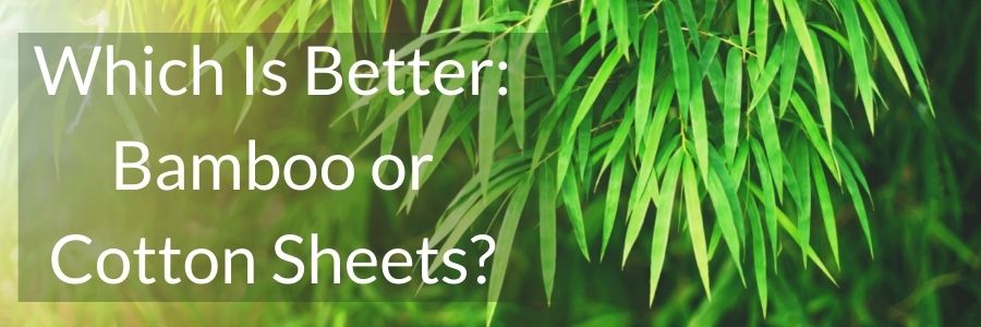 bamboo vs cotton sheets