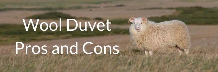Wool Duvet Pros and Cons