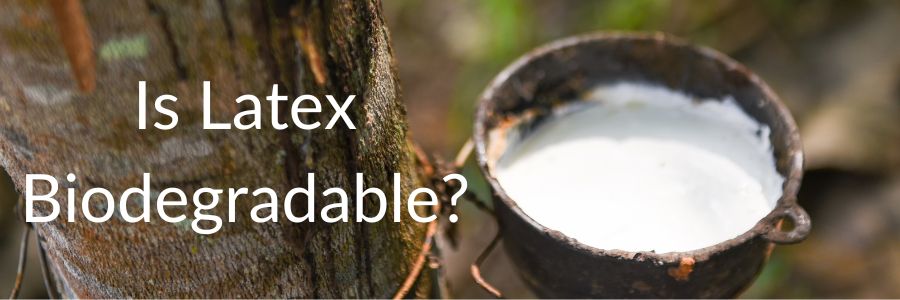 Is Latex Biodegradable 