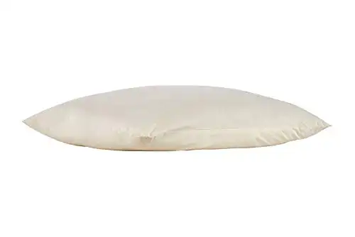 Sleep & Beyond Washable Wool Pillow