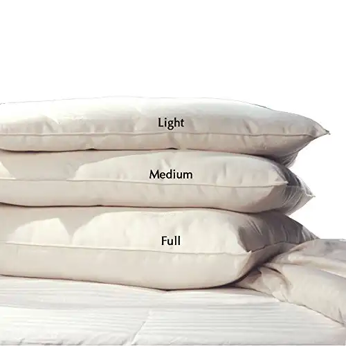 Lifekind Certified Organic Pure Wool Pillow