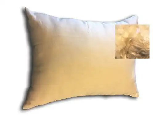 Organic Textiles Kapok Pillow