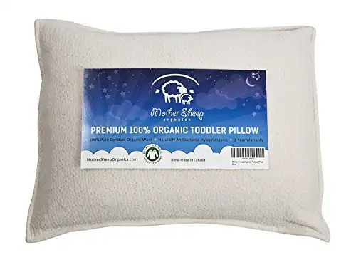Mother Sheep Organics Organic Wool Toddler Pillow