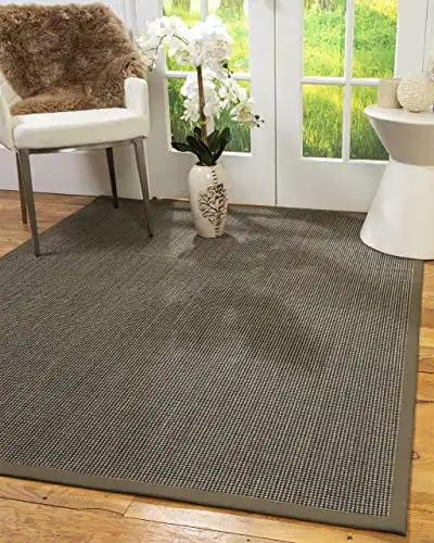 Sisal Rug by Natural Area Rugs
