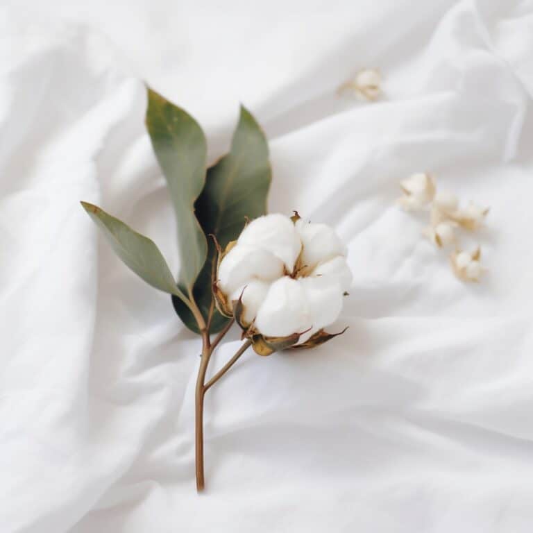 eucalyptus vs cotton comforters