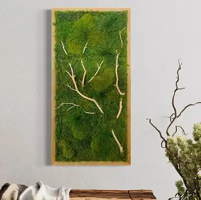 Living Moss Wall Art by Happy Green Heart