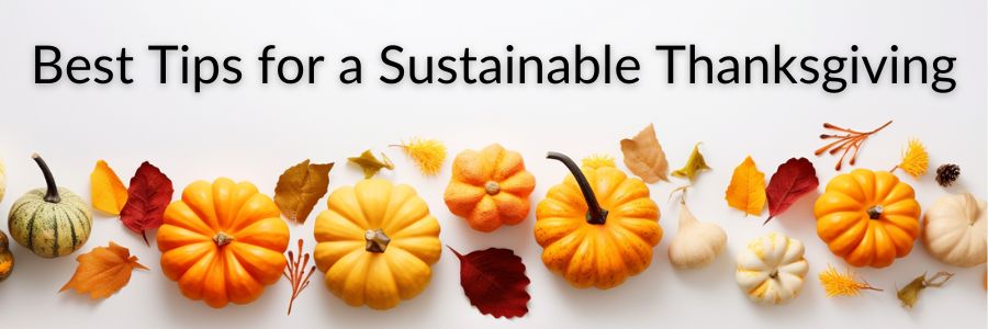 sustainable thanksgiving