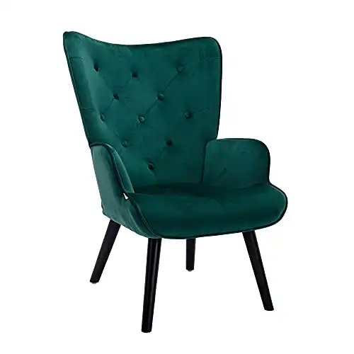 Dolonm Velvet Accent Chair Modern
