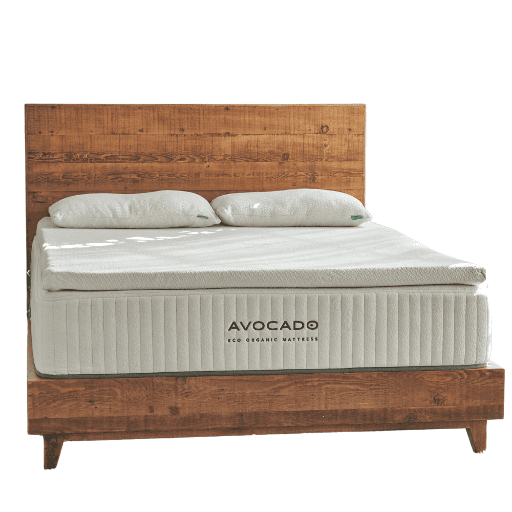 Avocado Furniture