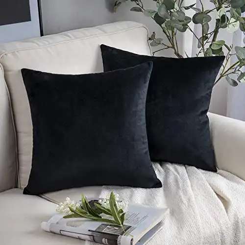 Phantoscope Pack of 2 Velvet Decorative Throw Pillows