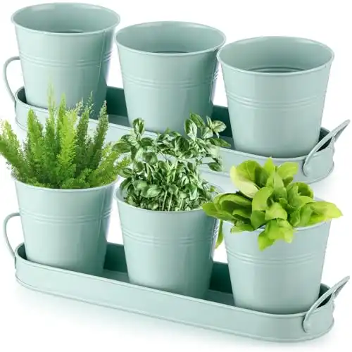 Herb Garden Planter Pot Set with Tray