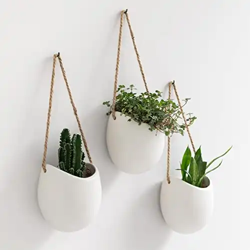 Hanging Ceramic Plant Pots