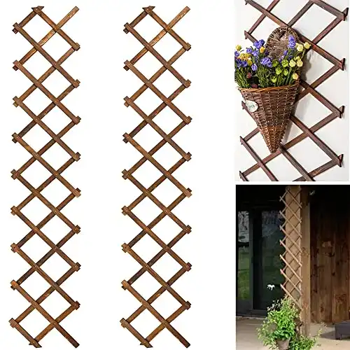Wooden Lattice Wall Trellis