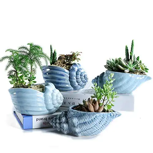Blue Conch Ceramic Succulent Plant Pot