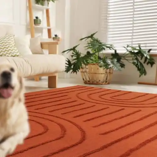 Washable Rug for Living Room