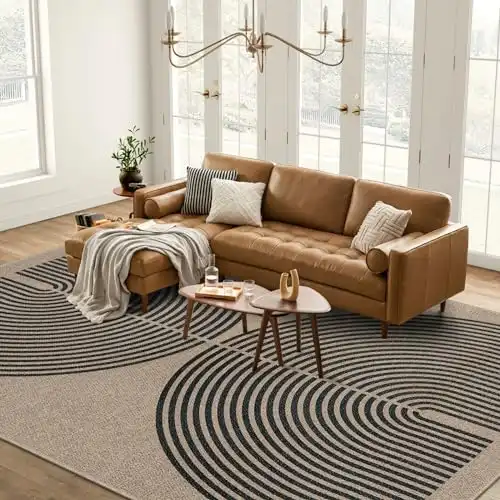 Lahome Modern Rainbow Easy Jute 9x12 Rug, Large Outdoor Patio Rug Farmhouse Indoor Outdoor Living Room Carpet, Contemporary Non Slip Non Shedding Nature Carpet for Dining Room Basement Backyard