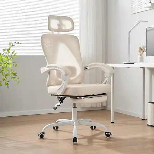 Ergonomic Office Chair