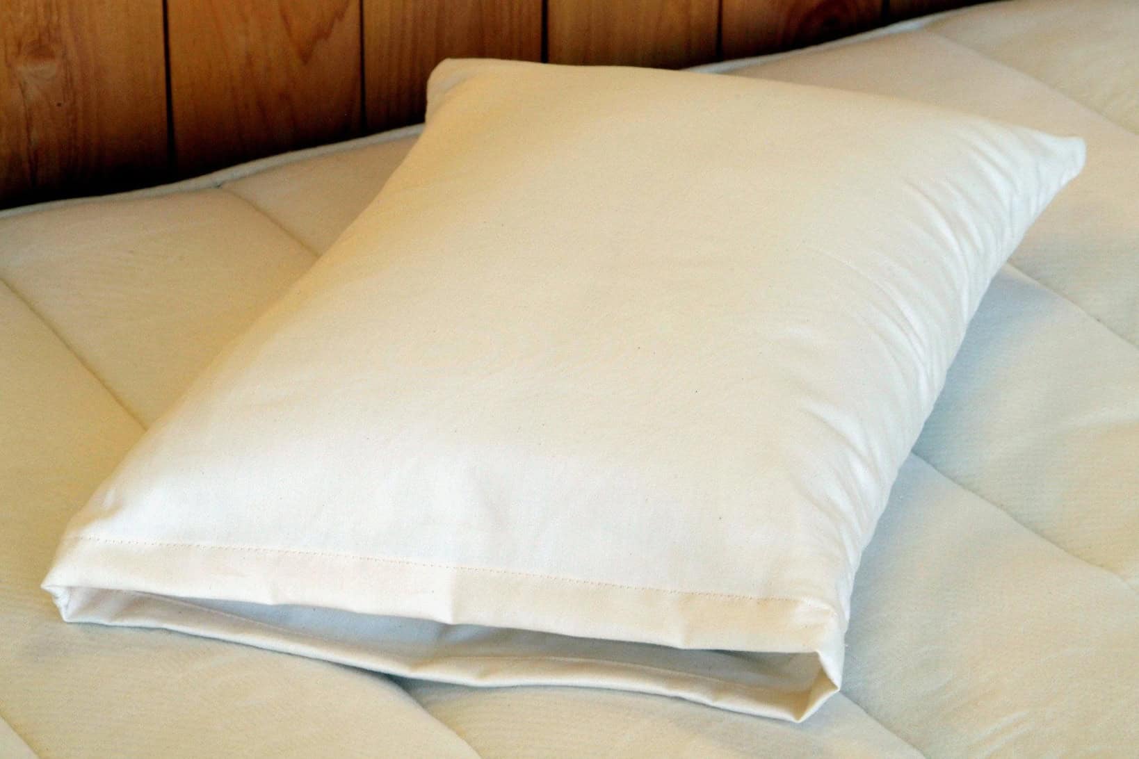 Certified Organic Wool Travel Pillow